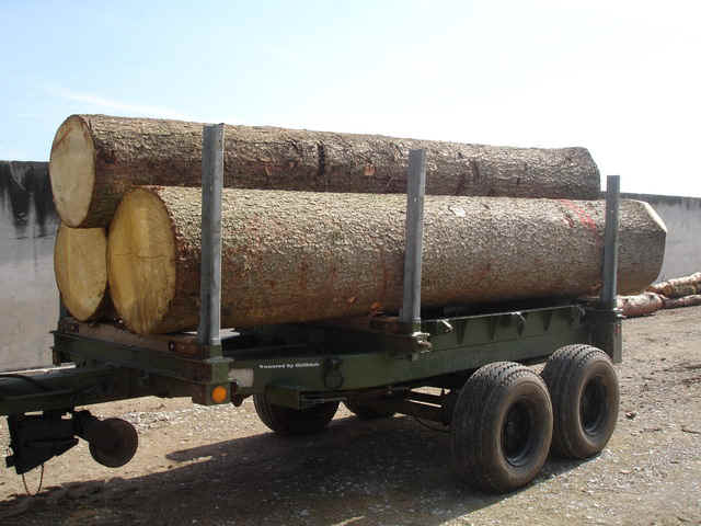 holztr2.jpg (104309 Byte)
